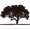 Birch Run Fields Square Logo